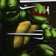 Illustration for article titled Which Teenage Mutant Ninja Turtle Are You?